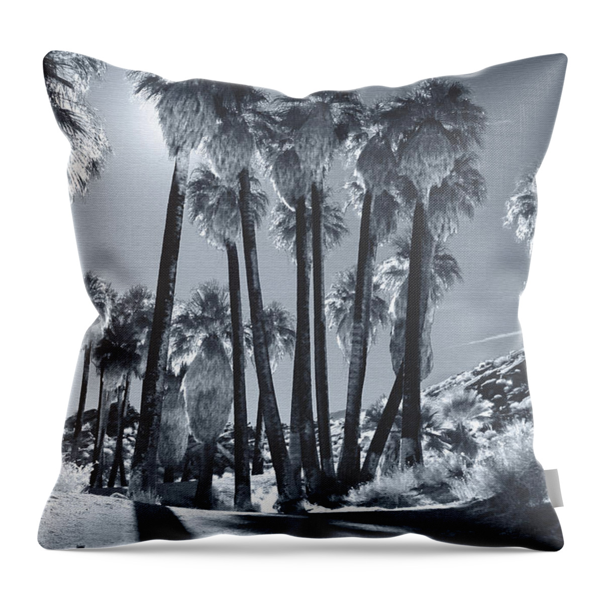 Indian Canyons Throw Pillow featuring the photograph Illuminate by Laurie Search