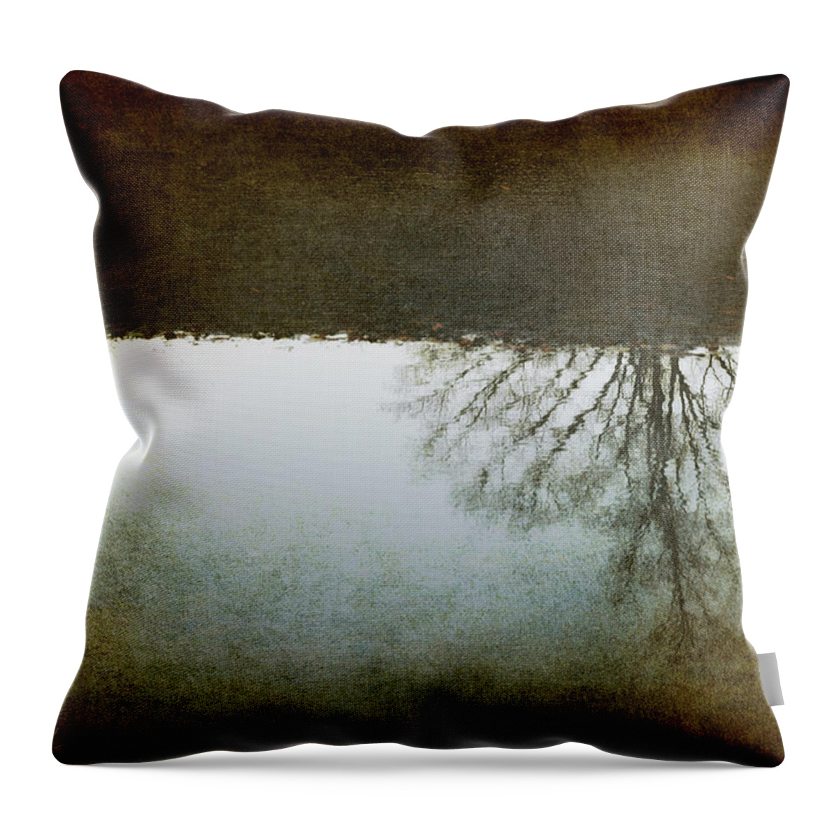 Autumn Throw Pillow featuring the photograph Illusions Of Autumn by Janet Lee