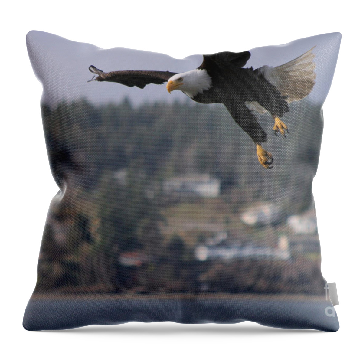 Animals Throw Pillow featuring the photograph I'm Coming In For A Landing by Kym Backland