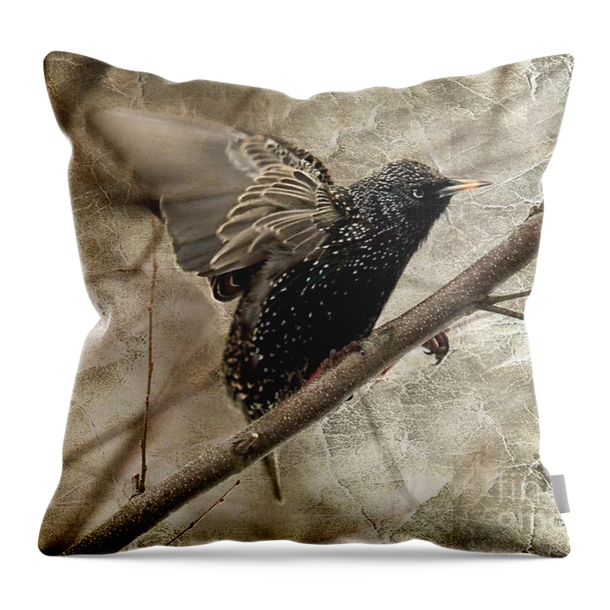 Bird Throw Pillow featuring the photograph I'm Outta Here by Lois Bryan