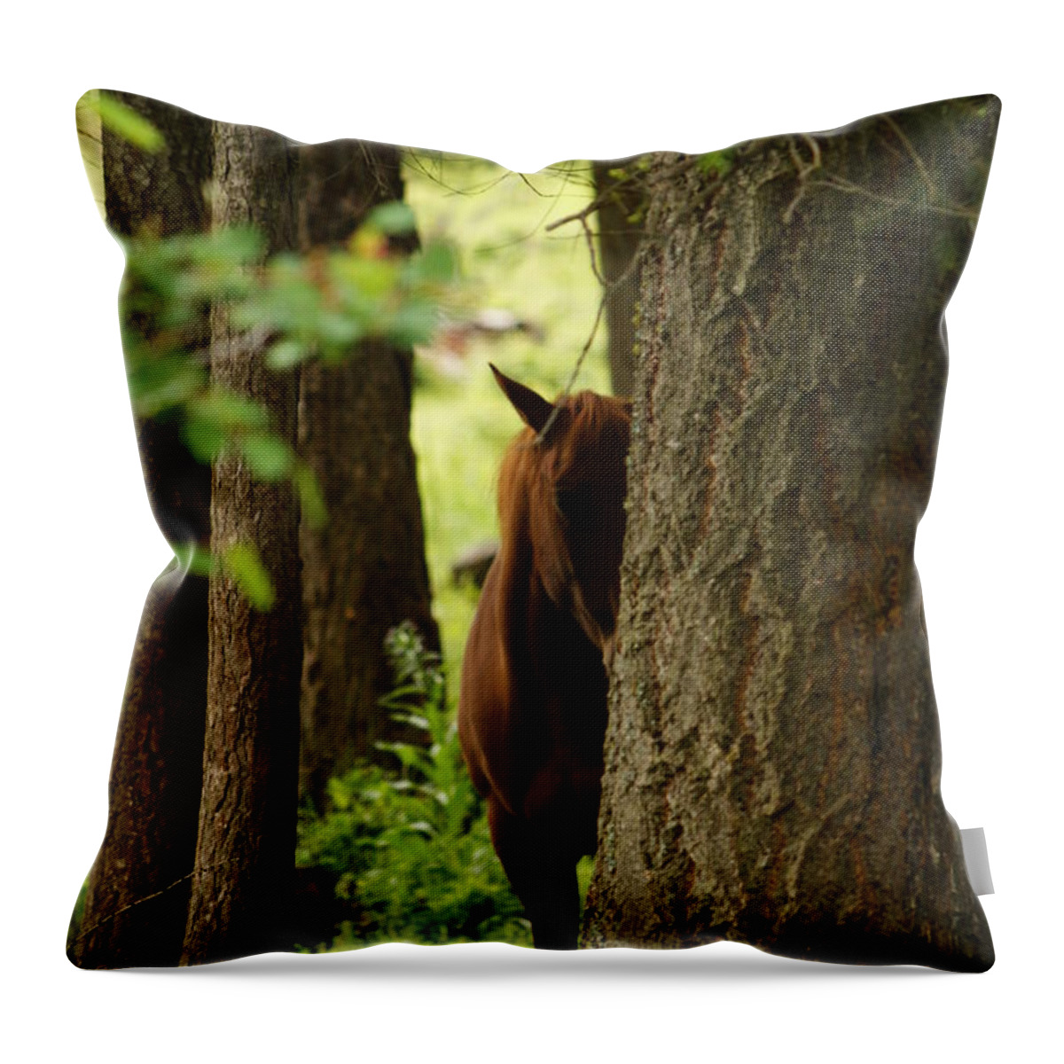 Horse Throw Pillow featuring the photograph I'm Shy by Loni Collins
