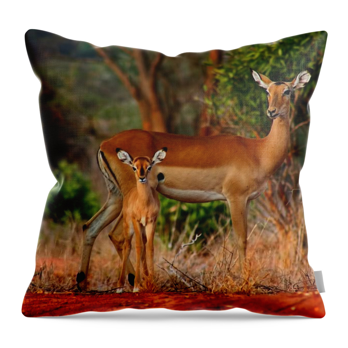 Baby Impala Throw Pillow featuring the photograph Impala and young by Amanda Stadther
