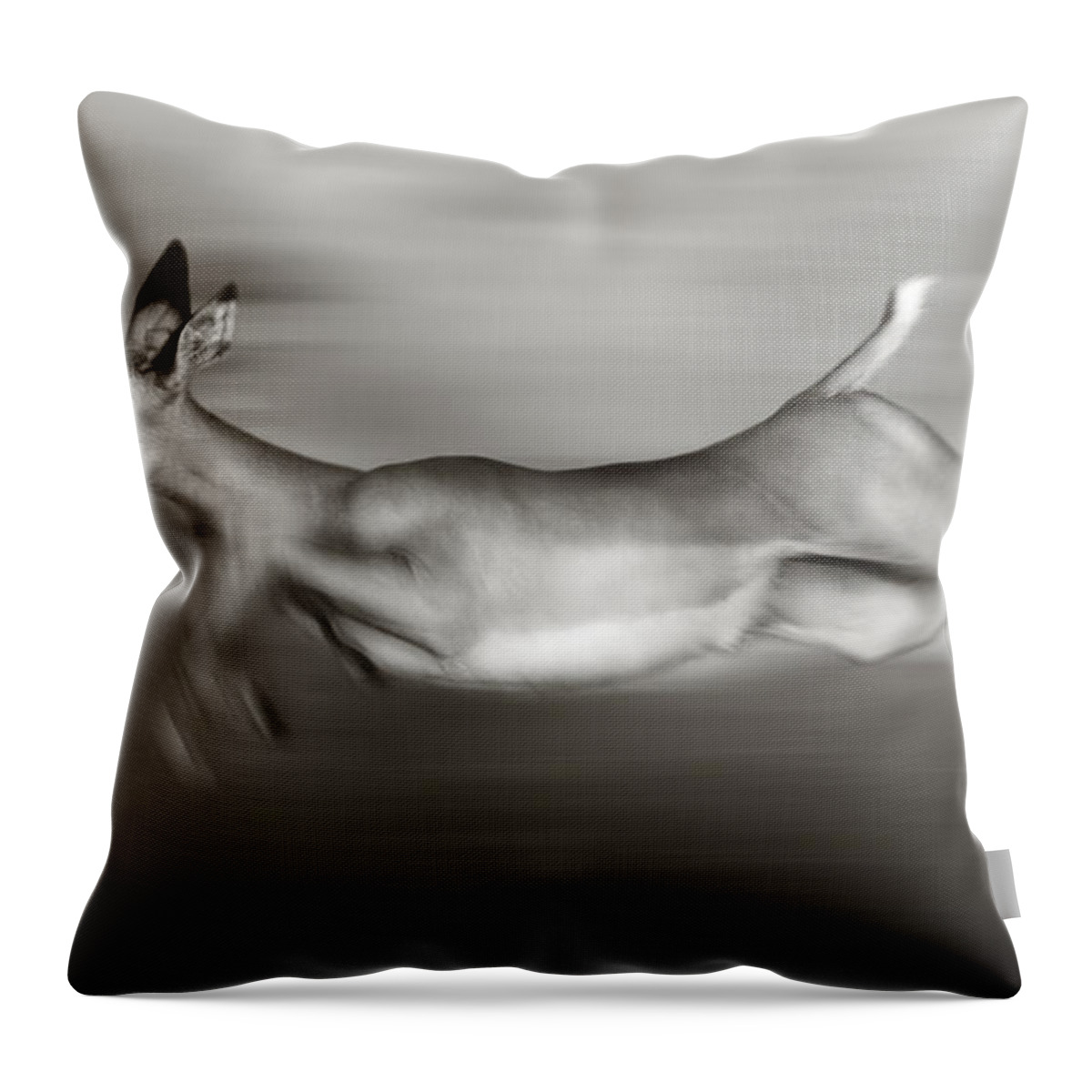 Outdoor Throw Pillow featuring the photograph Impala running by Johan Swanepoel
