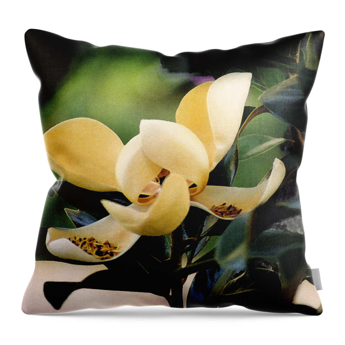 Landscape Throw Pillow featuring the photograph Impression Ivory Magnolia II by Robert J Sadler