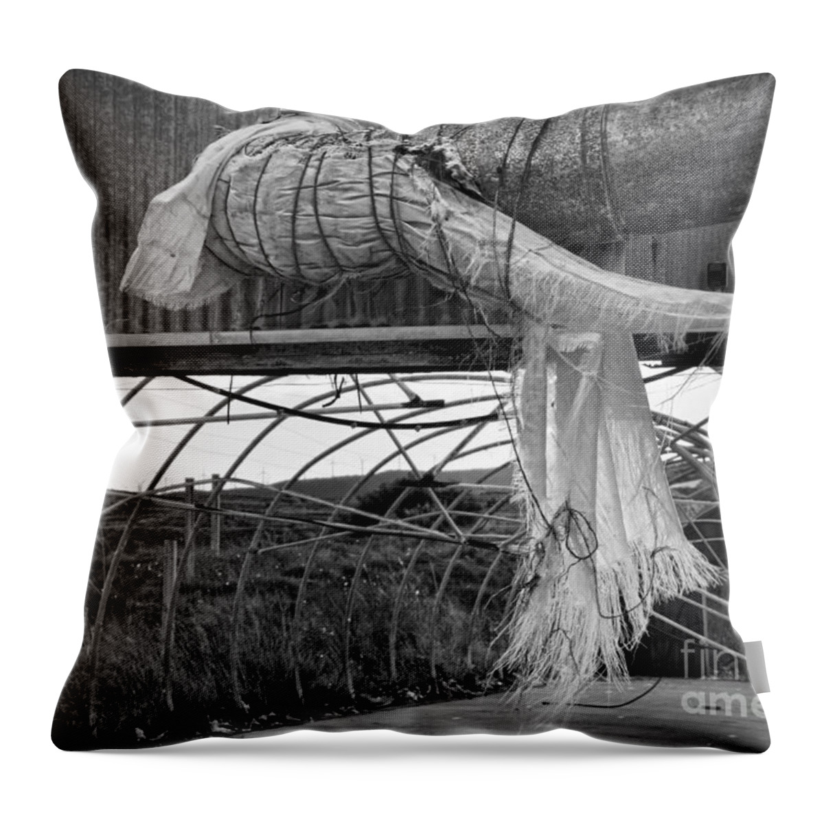 Shed Throw Pillow featuring the photograph In an abandoned mushroom farm BW by RicardMN Photography