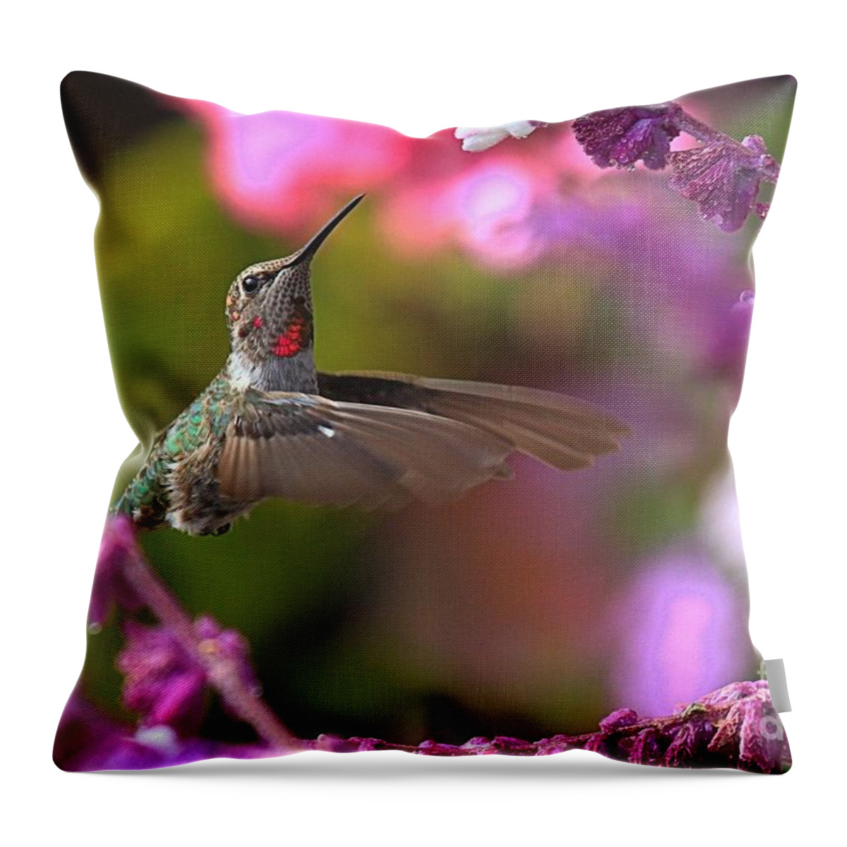 Hummingbird Throw Pillow featuring the photograph In Between Meals by Adam Jewell