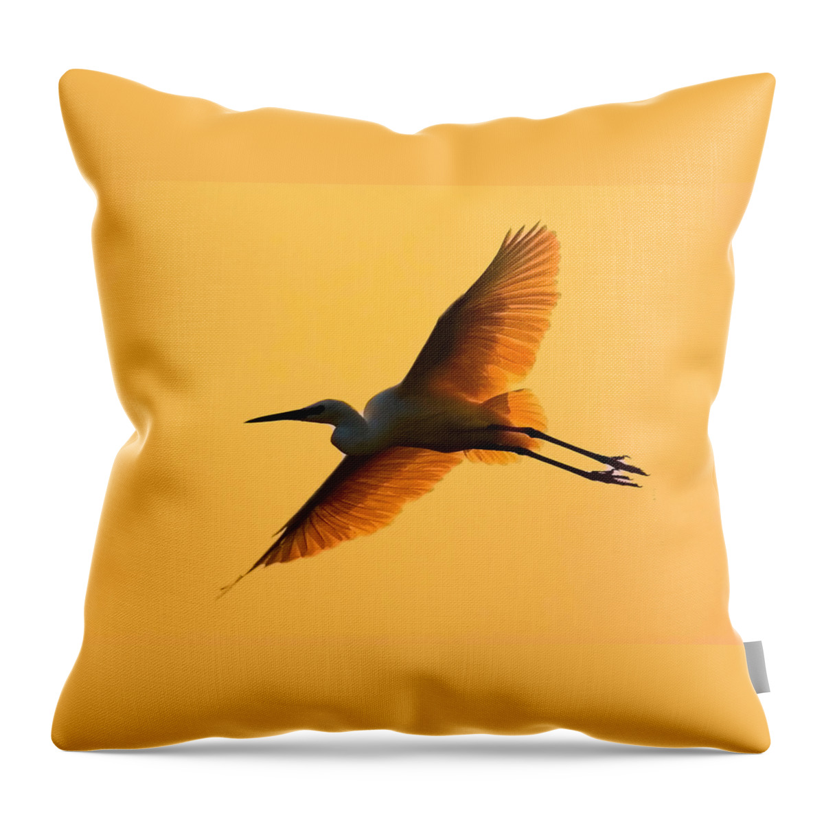 Bird Throw Pillow featuring the photograph In Flight by Amanda Stadther