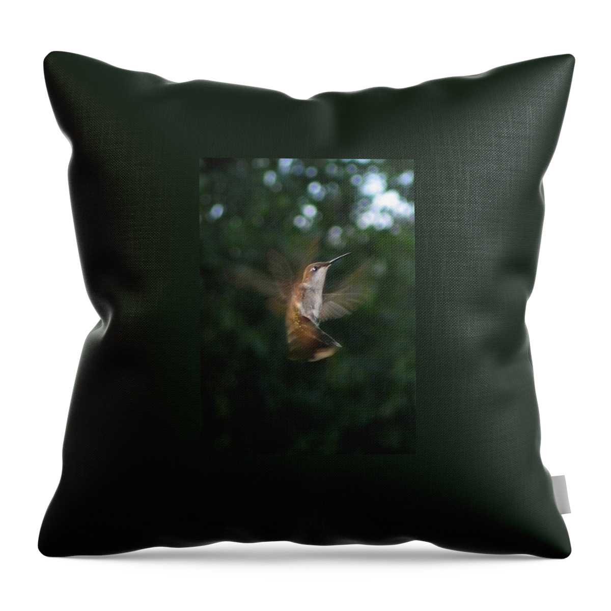 Bird Throw Pillow featuring the photograph In Flight by Photographic Arts And Design Studio