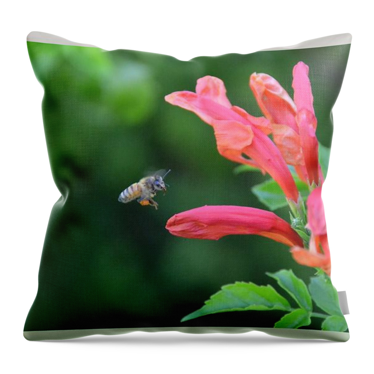 In For The Landing-honeysuckle Throw Pillow featuring the photograph In for the Landing- Honeysuckle by Darla Wood
