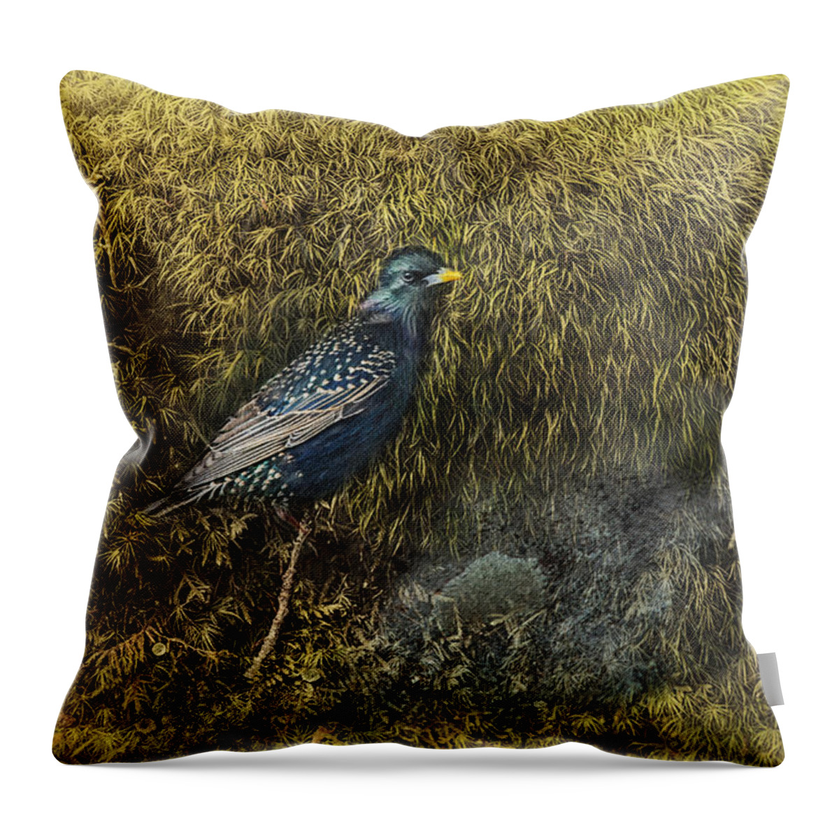 Starling Throw Pillow featuring the photograph In Sanctuary by Sue Capuano