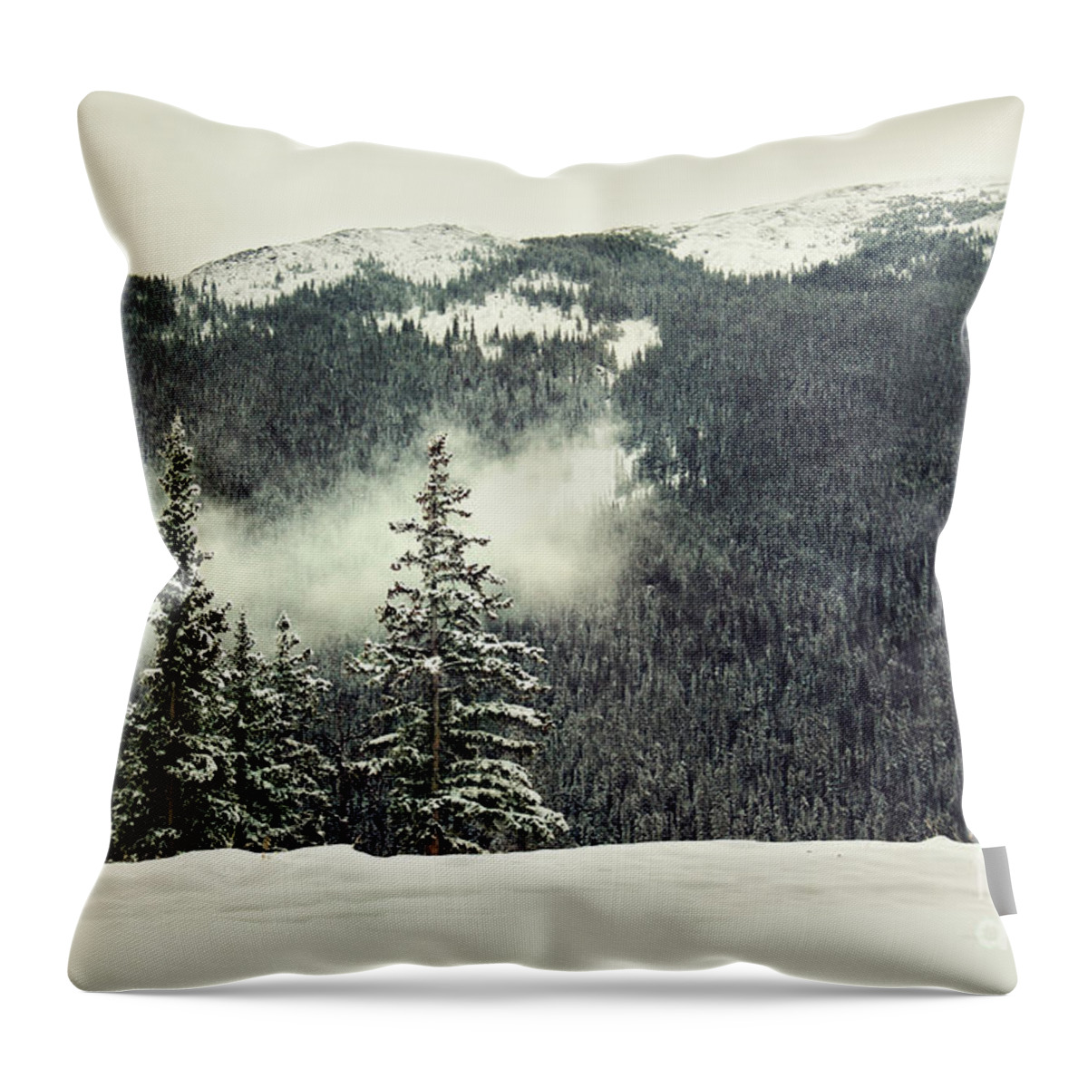 Colorado Throw Pillow featuring the photograph In The Beginning by Dana DiPasquale