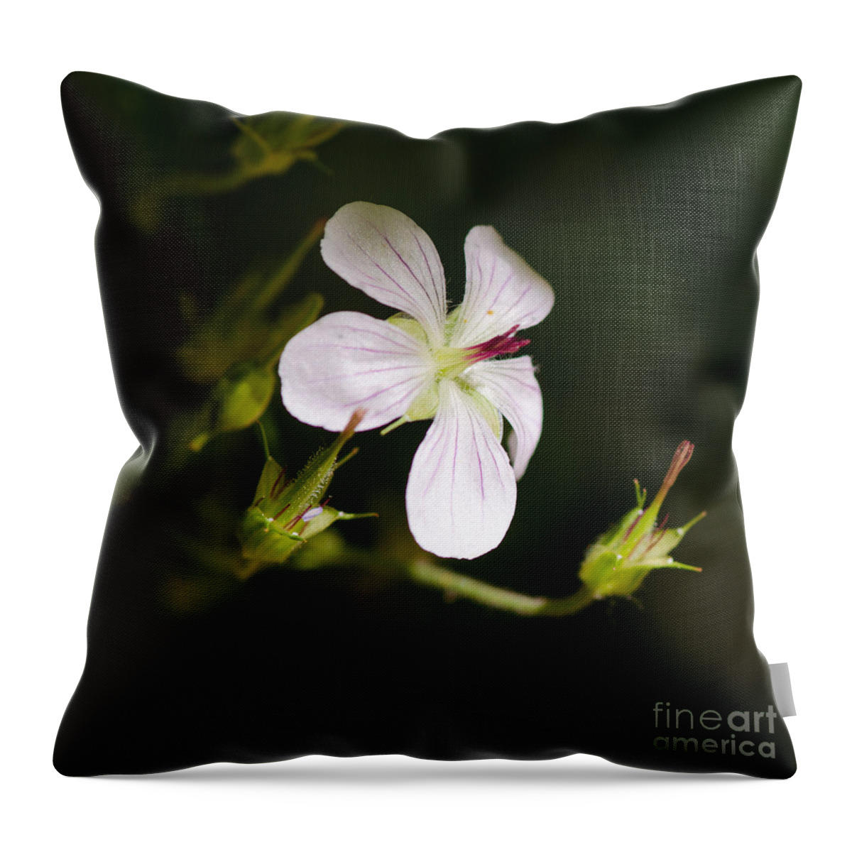 Macro Throw Pillow featuring the photograph In The Limelight by Tamara Becker