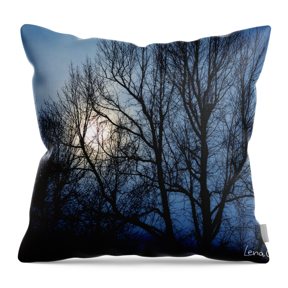 Landscape Throw Pillow featuring the photograph In The Midnight Hour by Lena Wilhite