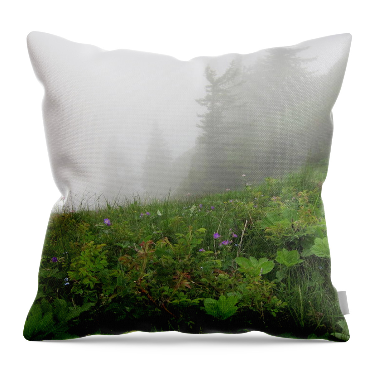 Mist Throw Pillow featuring the photograph In the Mist - 1 by Pema Hou