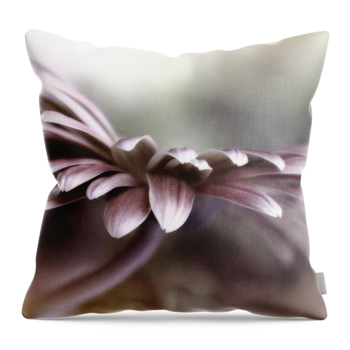 Photography Throw Pillow featuring the photograph In the Mist by Darlene Kwiatkowski