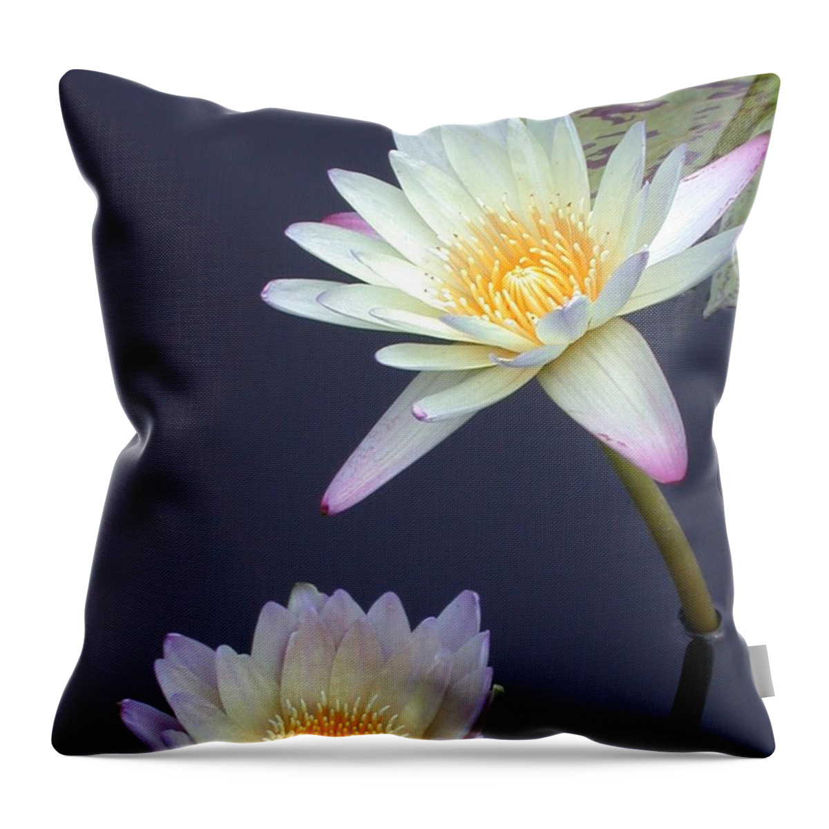 Water Lily Throw Pillow featuring the photograph In The Pond by Living Color Photography Lorraine Lynch