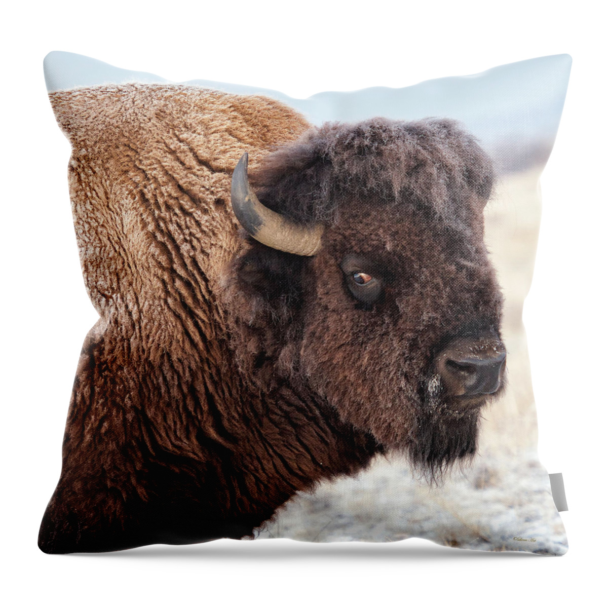Olena Art Throw Pillow featuring the photograph In the Presence of Bison - 2 by OLena Art by Lena Owens - Vibrant DESIGN