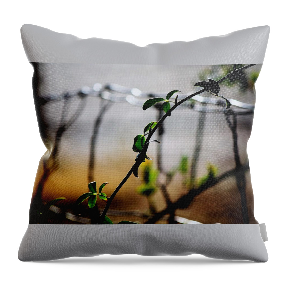 Wire Throw Pillow featuring the photograph In the wire by Jessica S