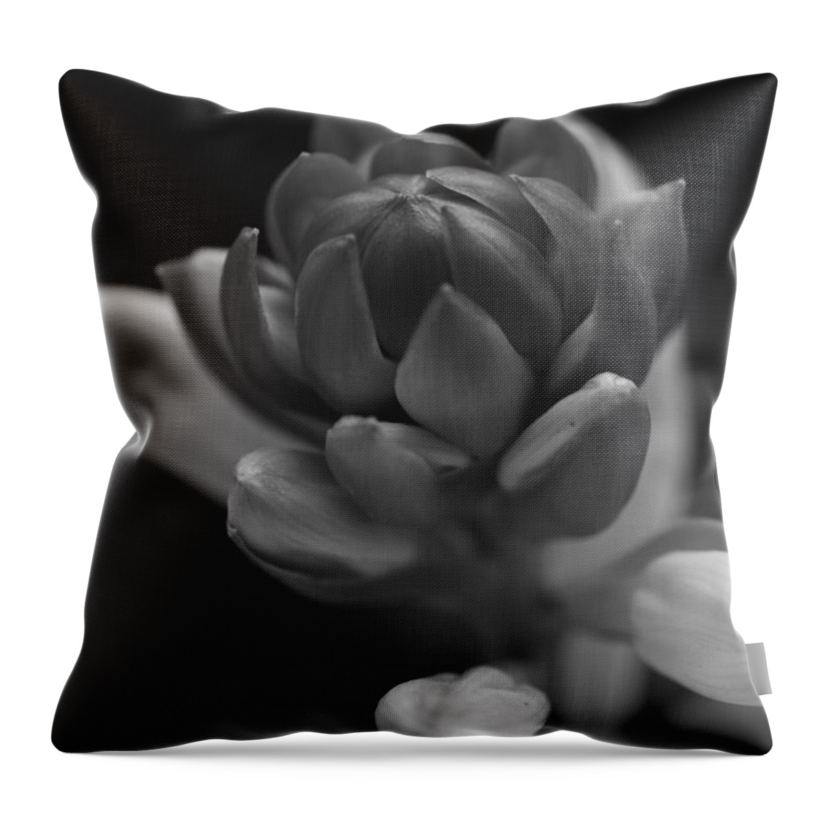 Flower Throw Pillow featuring the photograph In Time by Paul Watkins