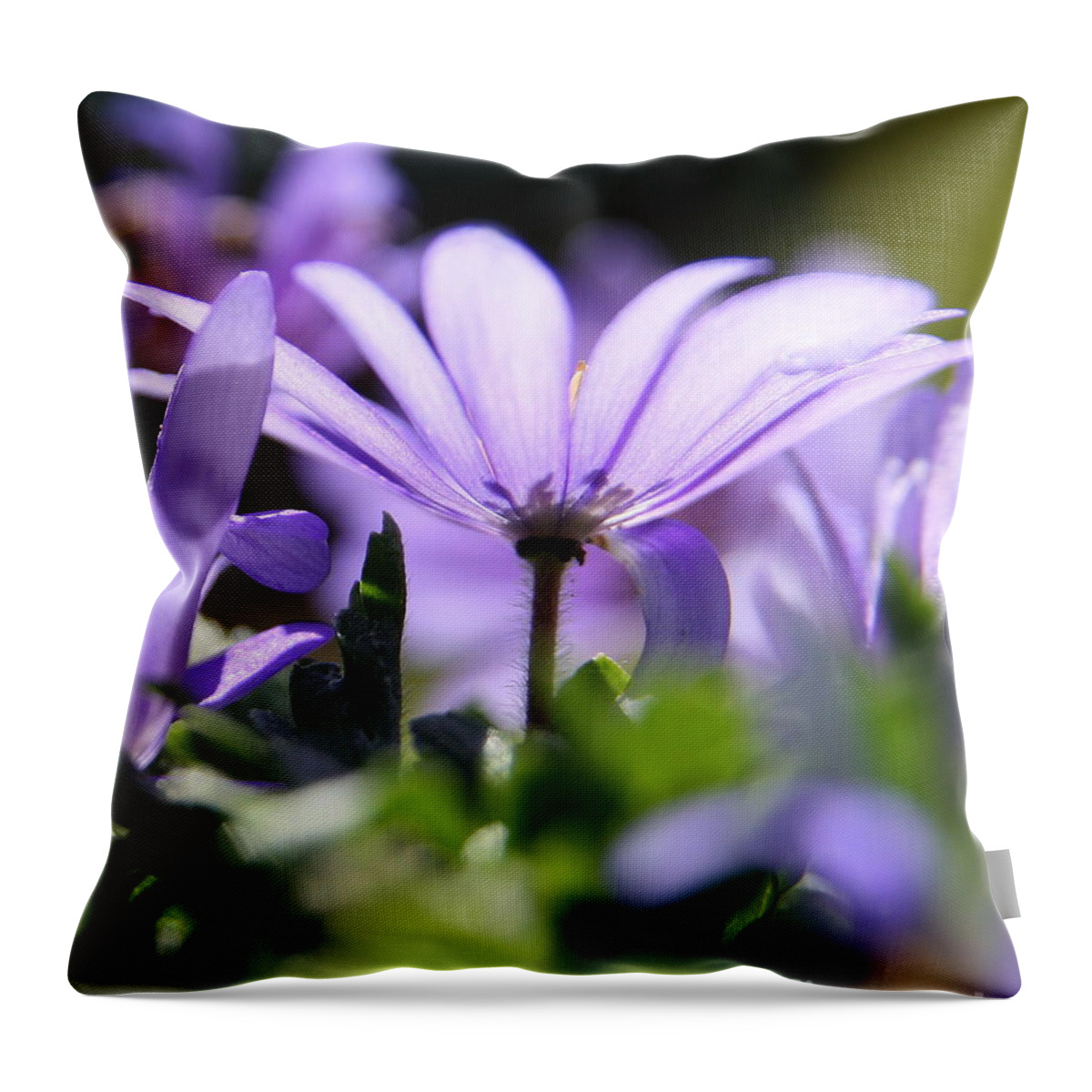 Purple Throw Pillow featuring the photograph Floral Purple Light by Neal Eslinger