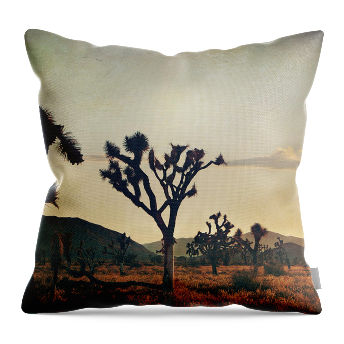 Joshua Tree National Park Throw Pillow featuring the photograph In Your Arms as the Sun Goes Down by Laurie Search