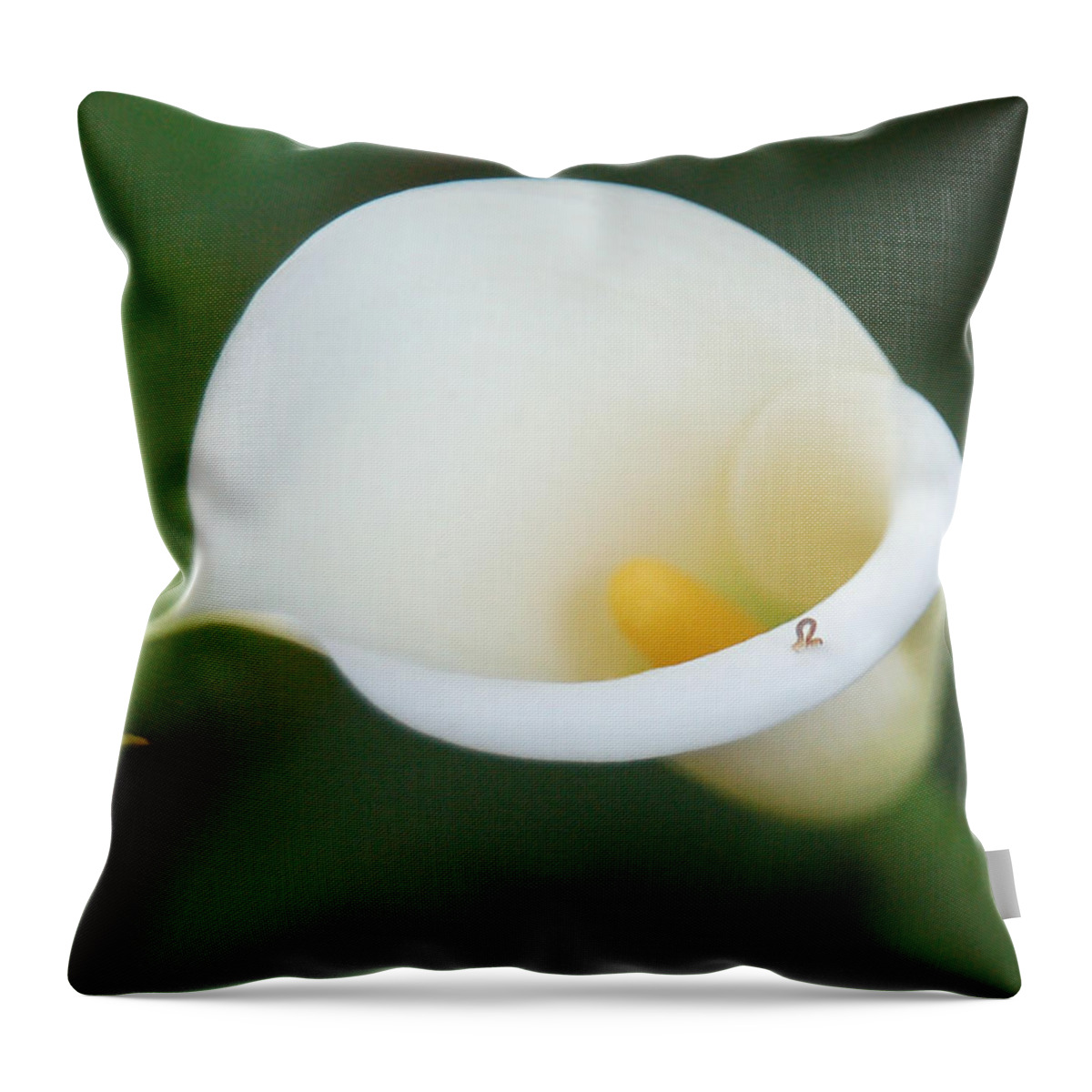 White Calla Lily Throw Pillow featuring the photograph Inching Along by Suzanne Gaff
