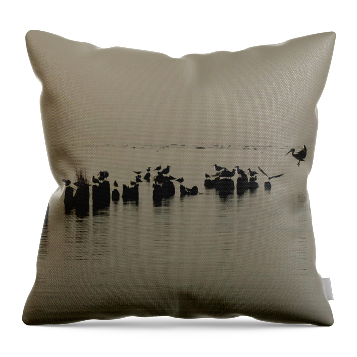 Landscape Throw Pillow featuring the photograph Incoming by Deborah Smith