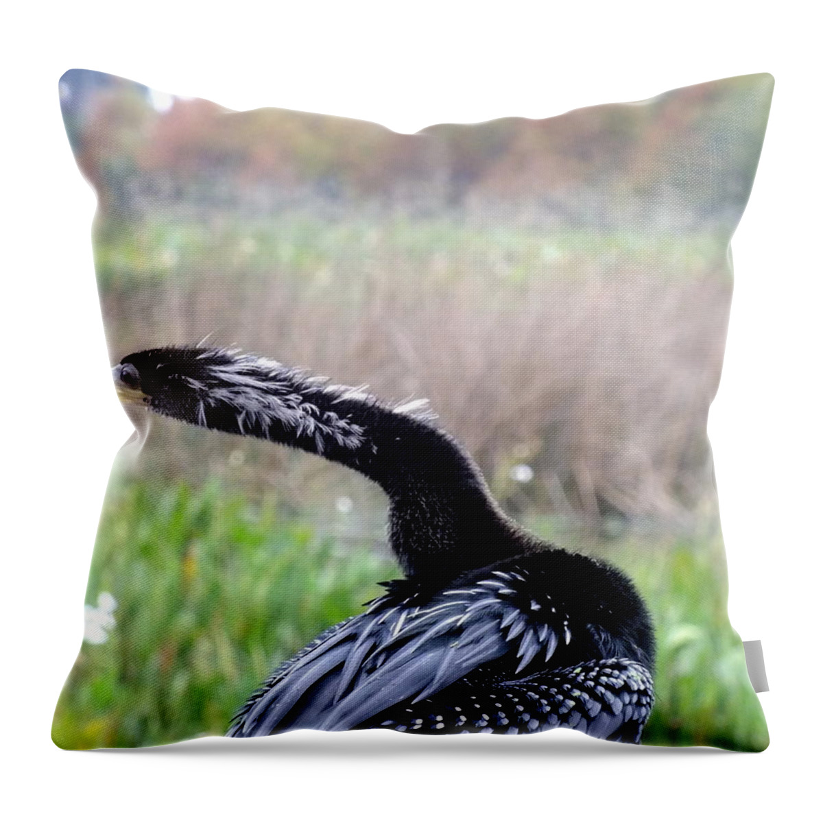 Nature Throw Pillow featuring the photograph Indecision by Peggy King