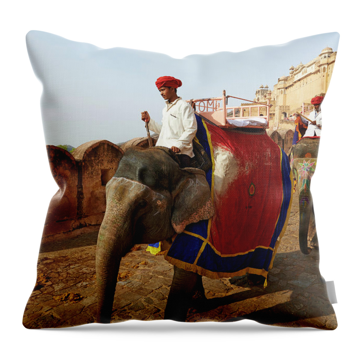 Working Animal Throw Pillow featuring the photograph India, Rajasthan, Jaipur The Pink City by Tuul & Bruno Morandi