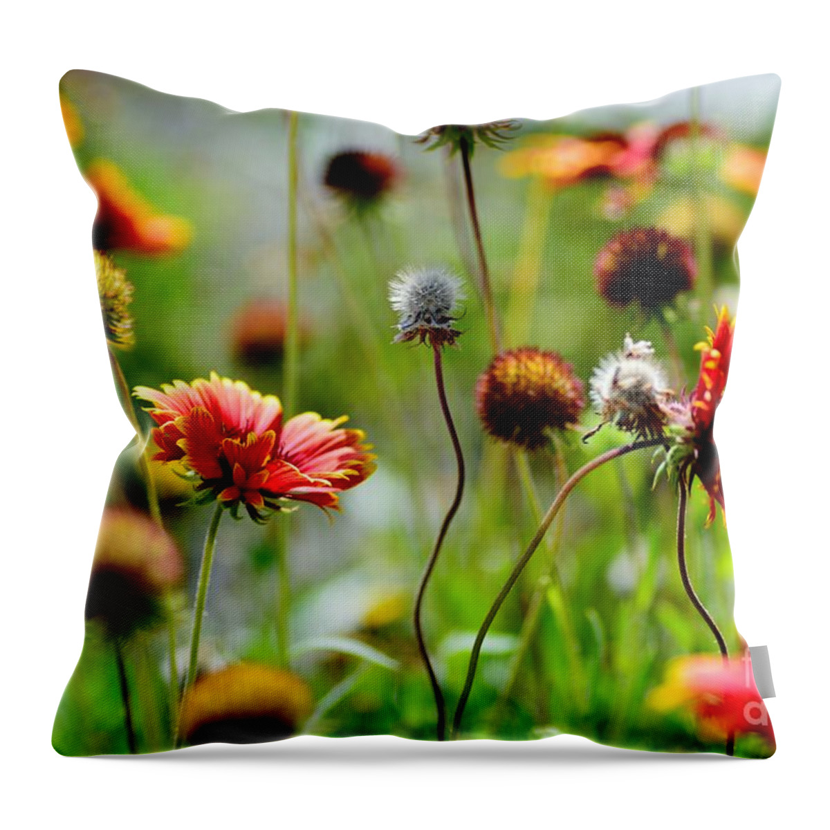 Indian Blanket Wildflowers Throw Pillow featuring the photograph Indian Blanket by Julie Adair