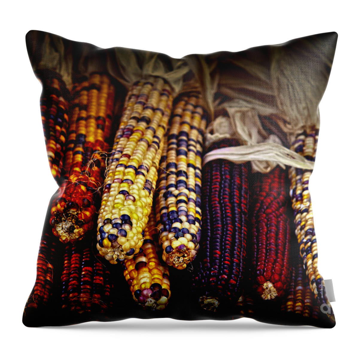 Corn Throw Pillow featuring the photograph Indian corn by Elena Elisseeva