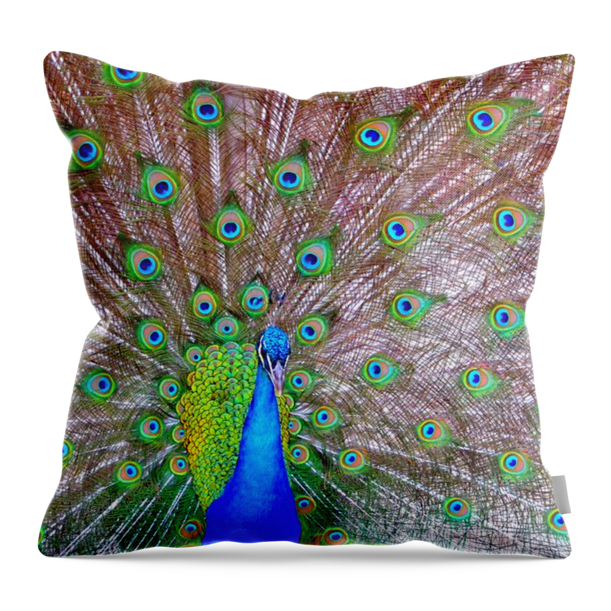 Peacock Throw Pillow featuring the photograph Indian Peacock by Deena Stoddard