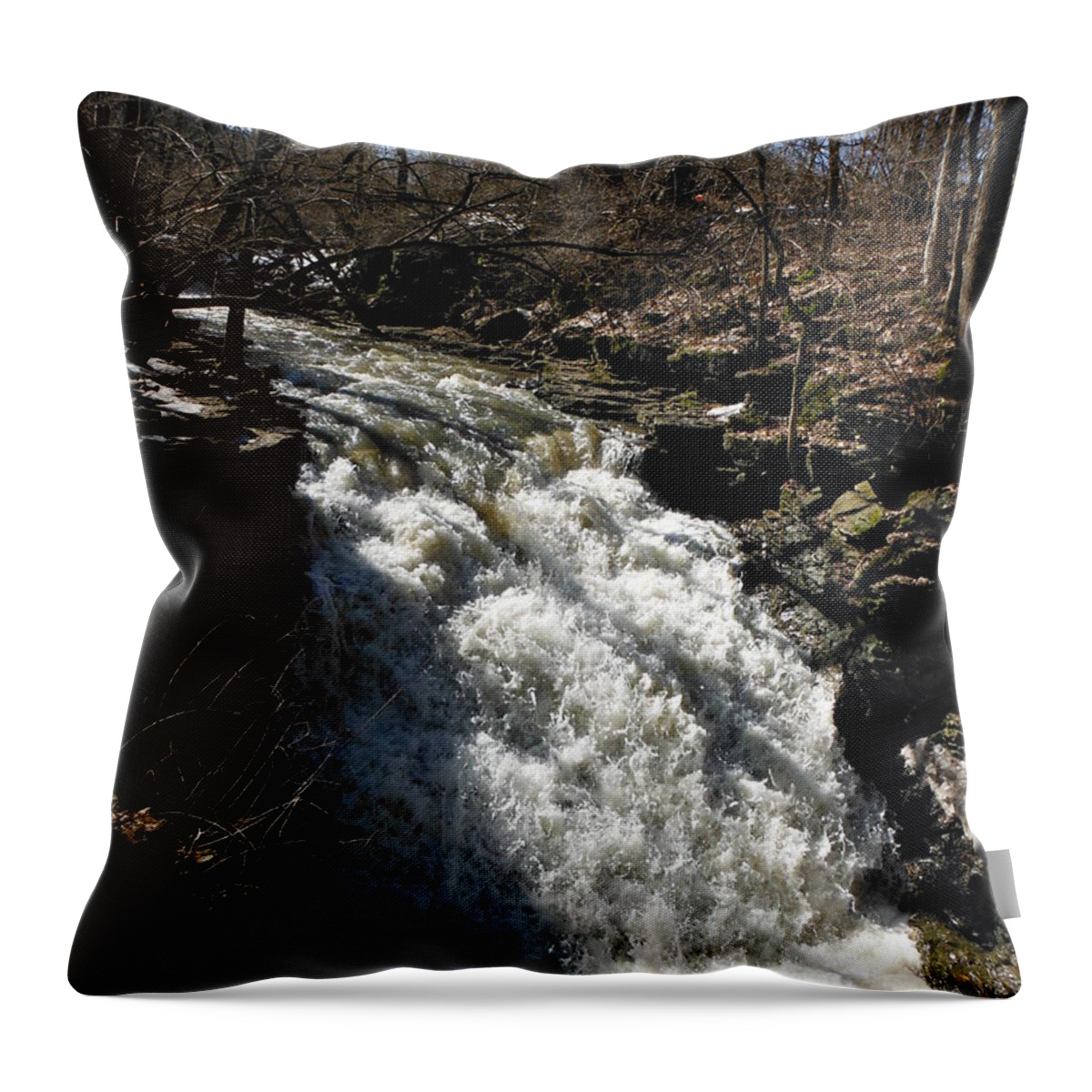 Indian Run Waterfall With February Snow Melt Throw Pillow featuring the photograph Indian Run Waterfall With February Snow Melt 1 by Paddy Shaffer