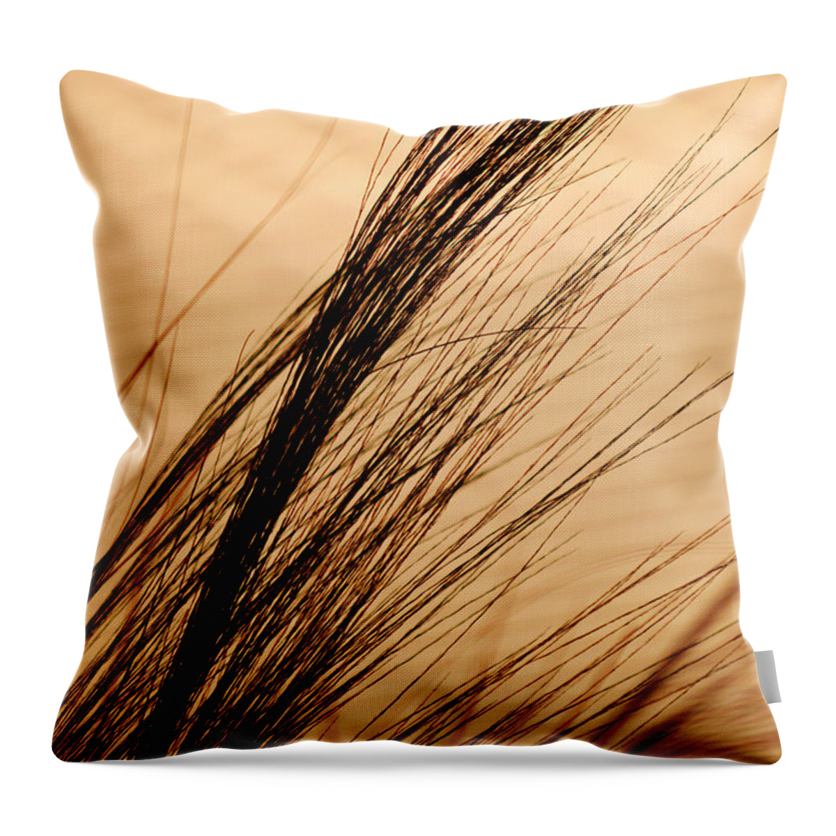 Grass Throw Pillow featuring the photograph Indoor Grasses by Michael McGowan
