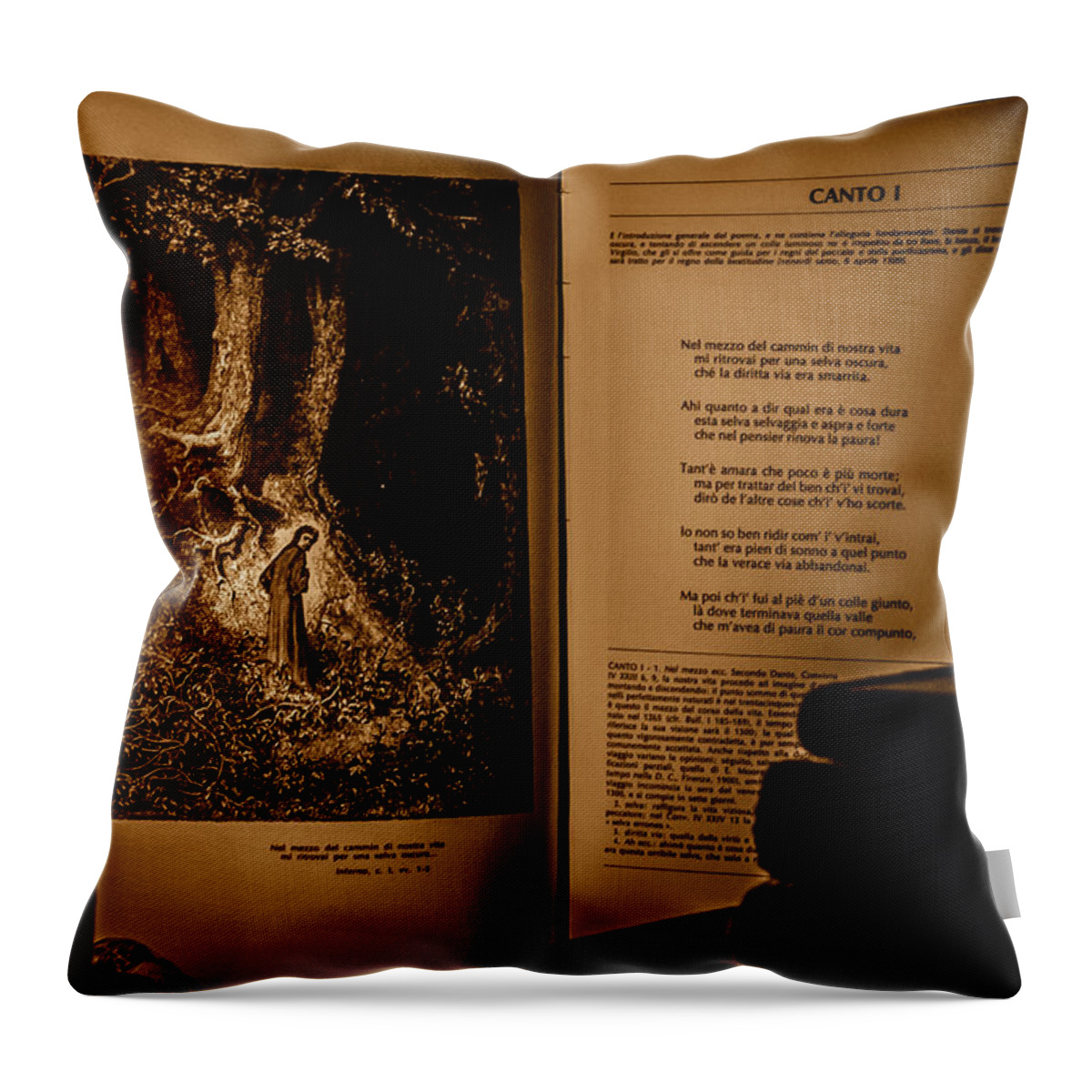 Dante Throw Pillow featuring the photograph Dante - Inferno by AM FineArtPrints