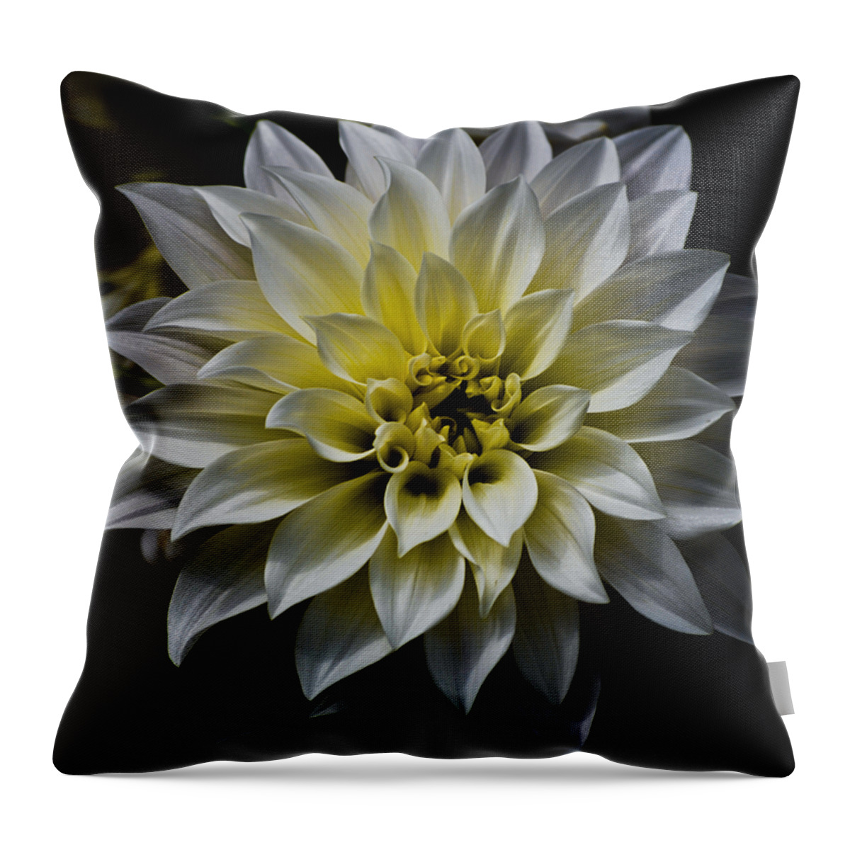 Botanical Throw Pillow featuring the photograph Inner Glow by Christi Kraft