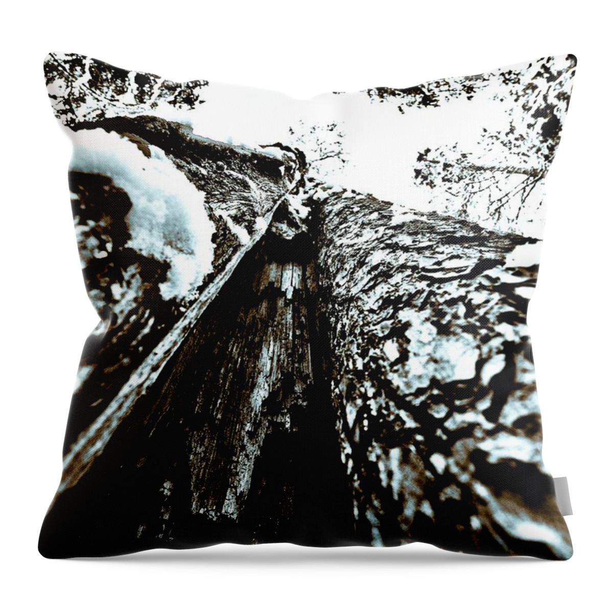 Kovero Throw Pillow featuring the photograph Inner view by Jouko Lehto