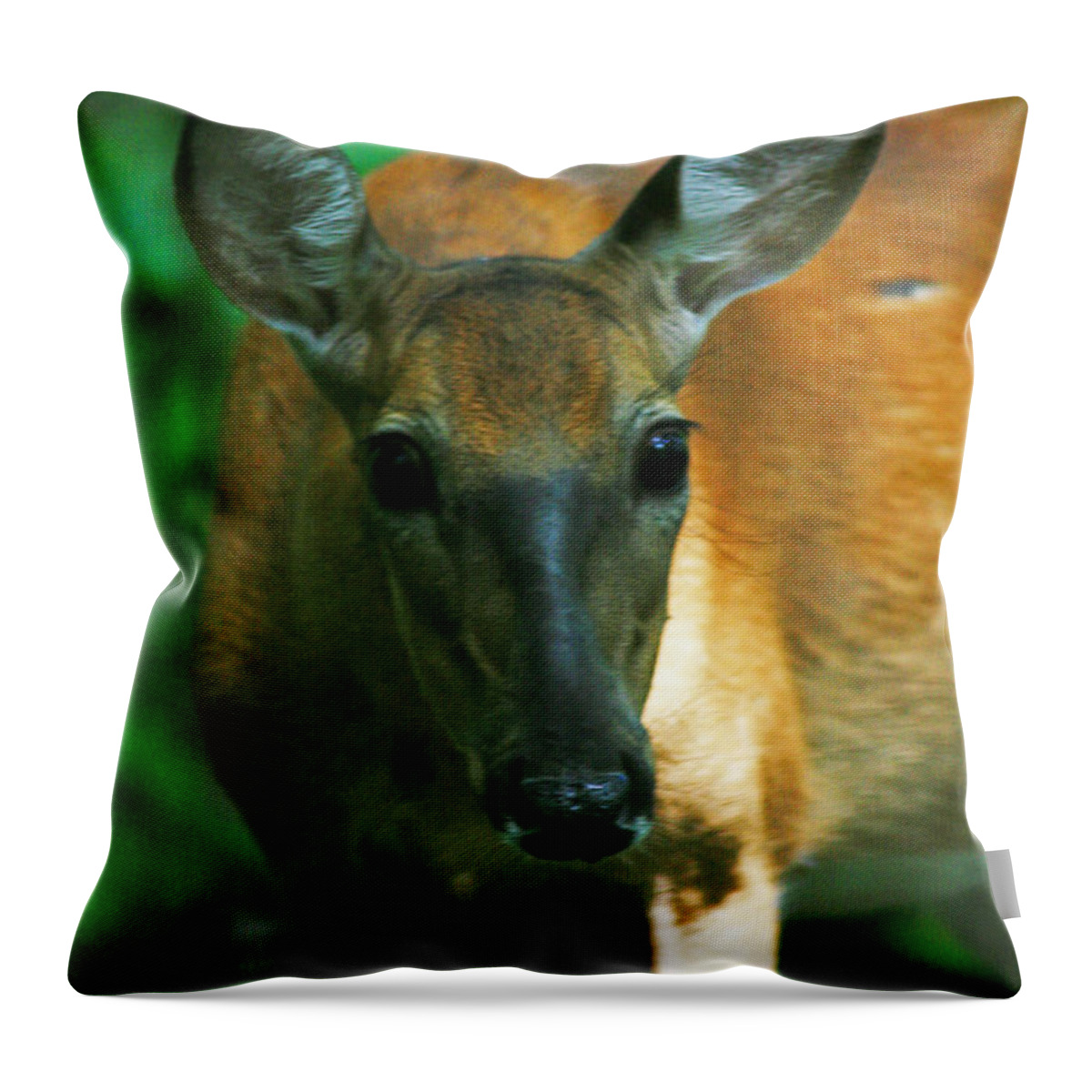 Deer Throw Pillow featuring the photograph Inquisitive Doe by Miss Crystal D