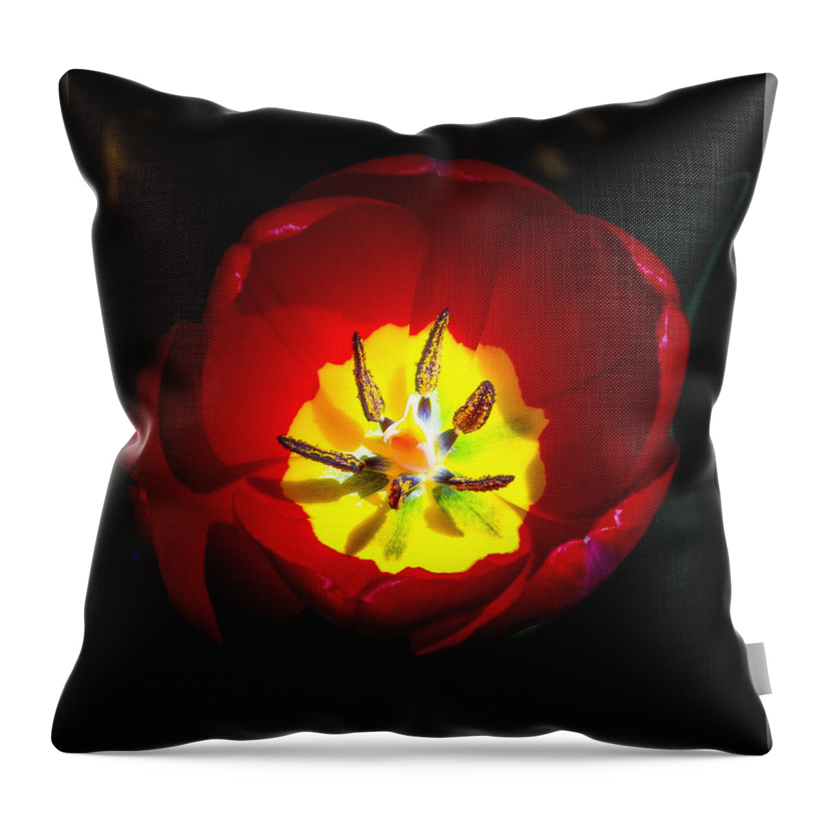Photograph Of Inside A Tulip Flower Throw Pillow featuring the photograph Inside a Tulip by Kenneth Cole