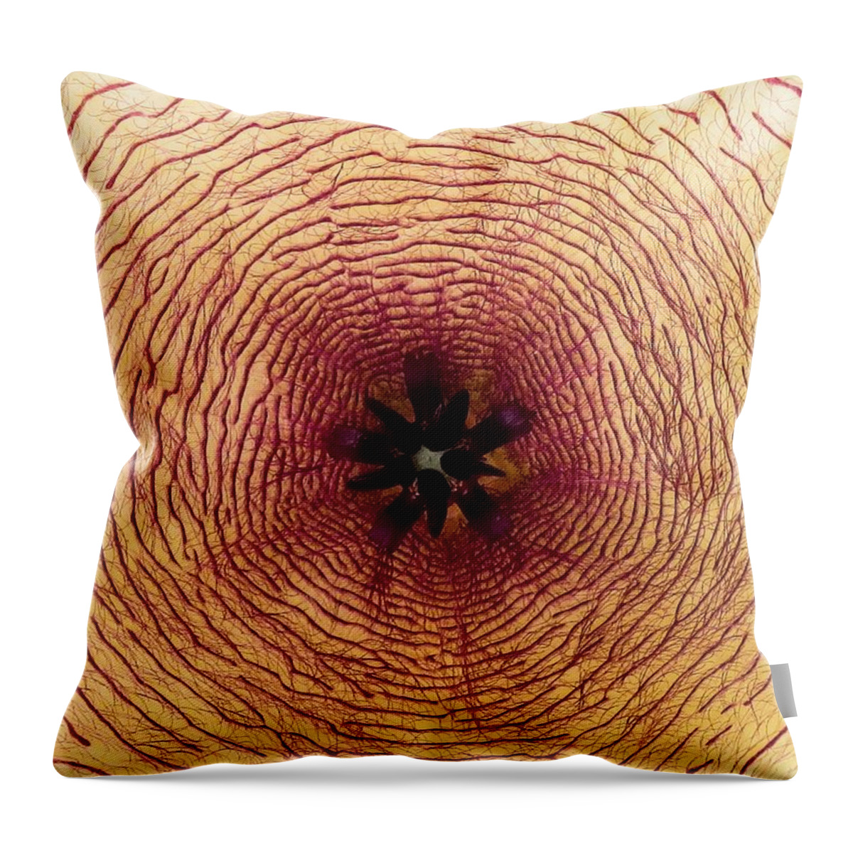 Stapelia Throw Pillow featuring the photograph Inside by Zina Stromberg