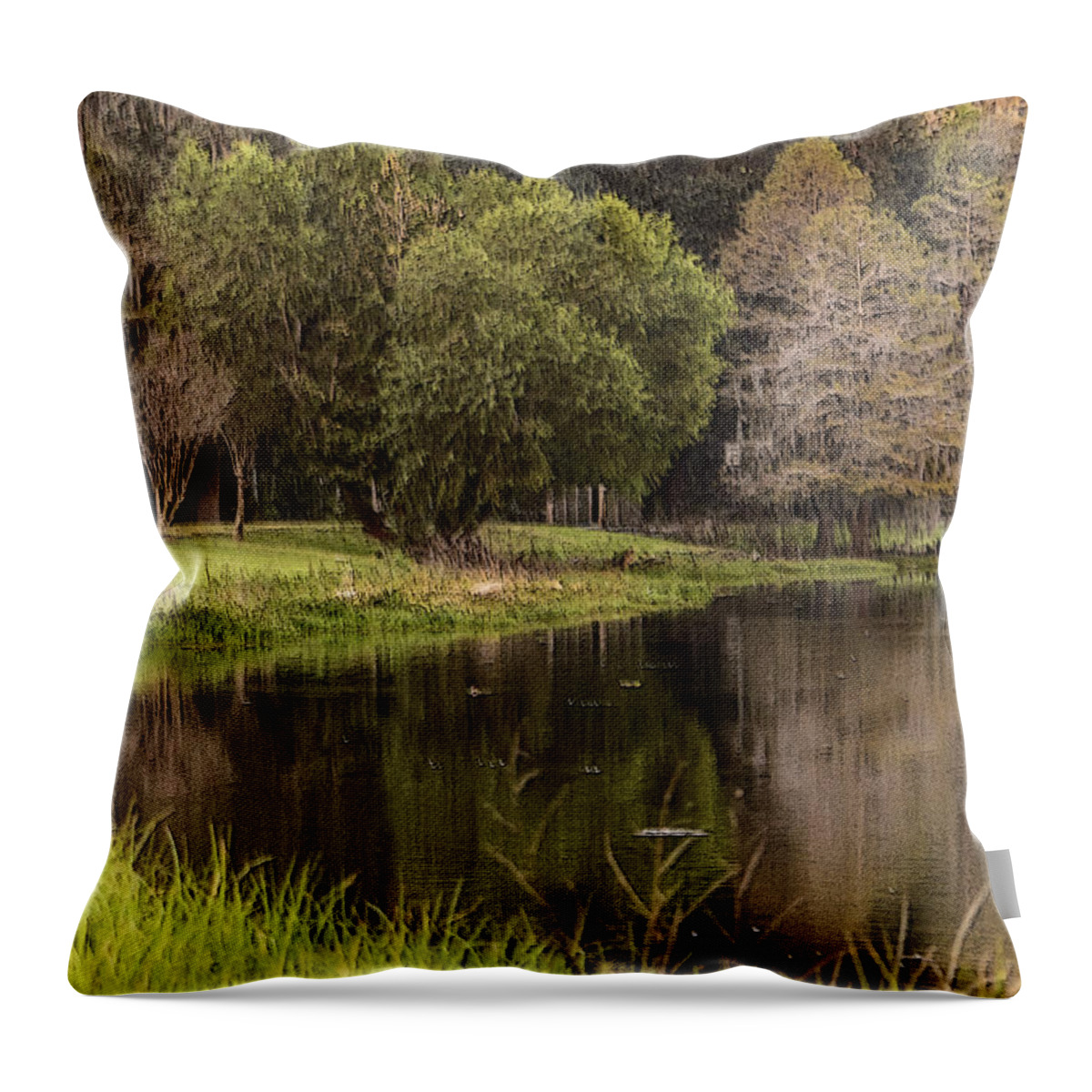 Fishing Throw Pillow featuring the photograph Intent by Leticia Latocki