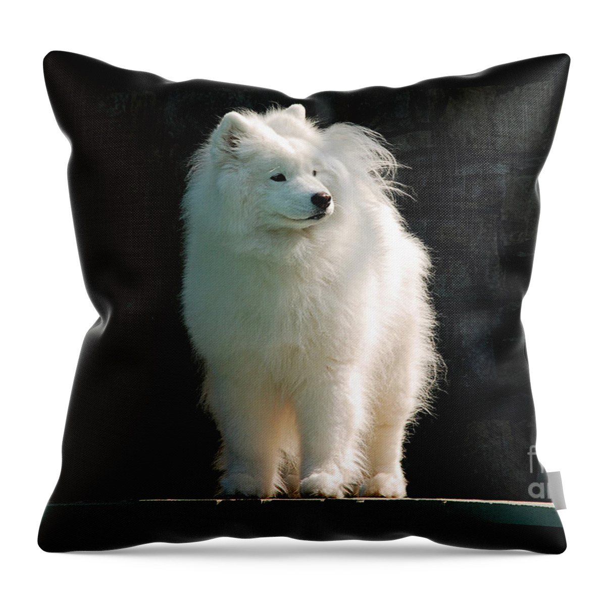 Dog Throw Pillow featuring the photograph Intent by Lois Bryan
