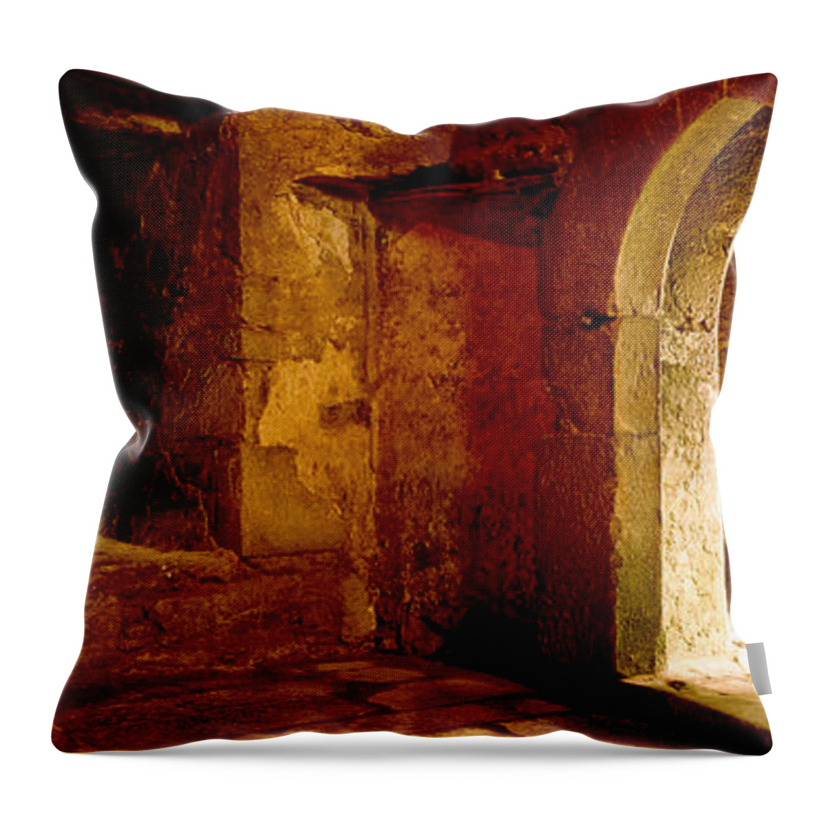 Photography Throw Pillow featuring the photograph Interiors Of A Castle, Blarney Castle by Panoramic Images