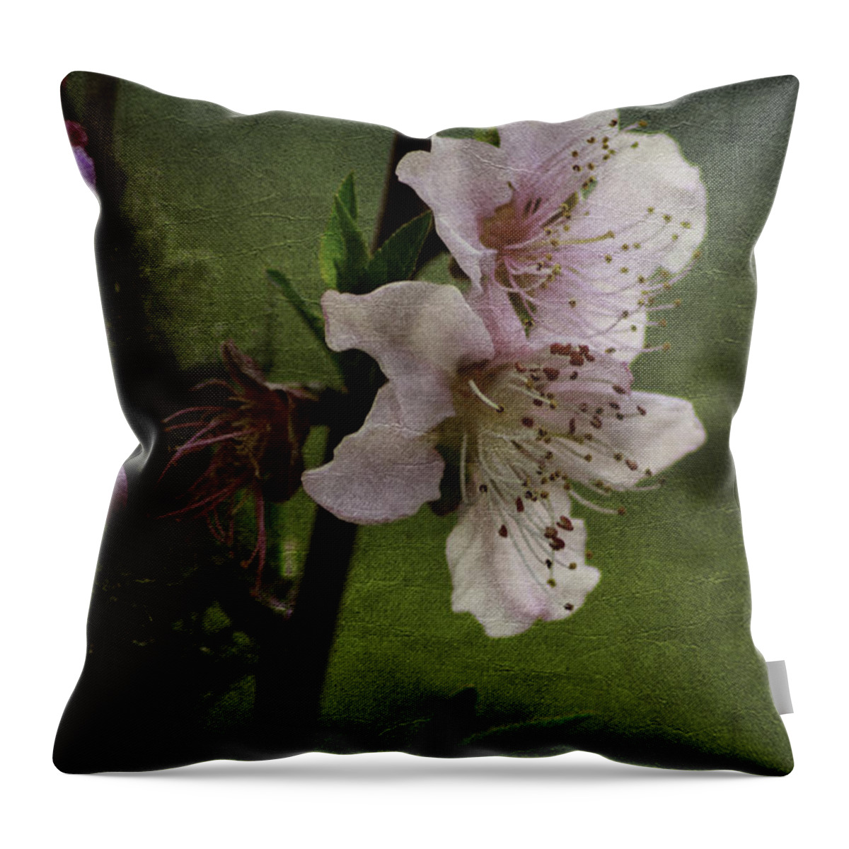 Flowers Throw Pillow featuring the photograph Into Spring by Lori Mellen-Pagliaro