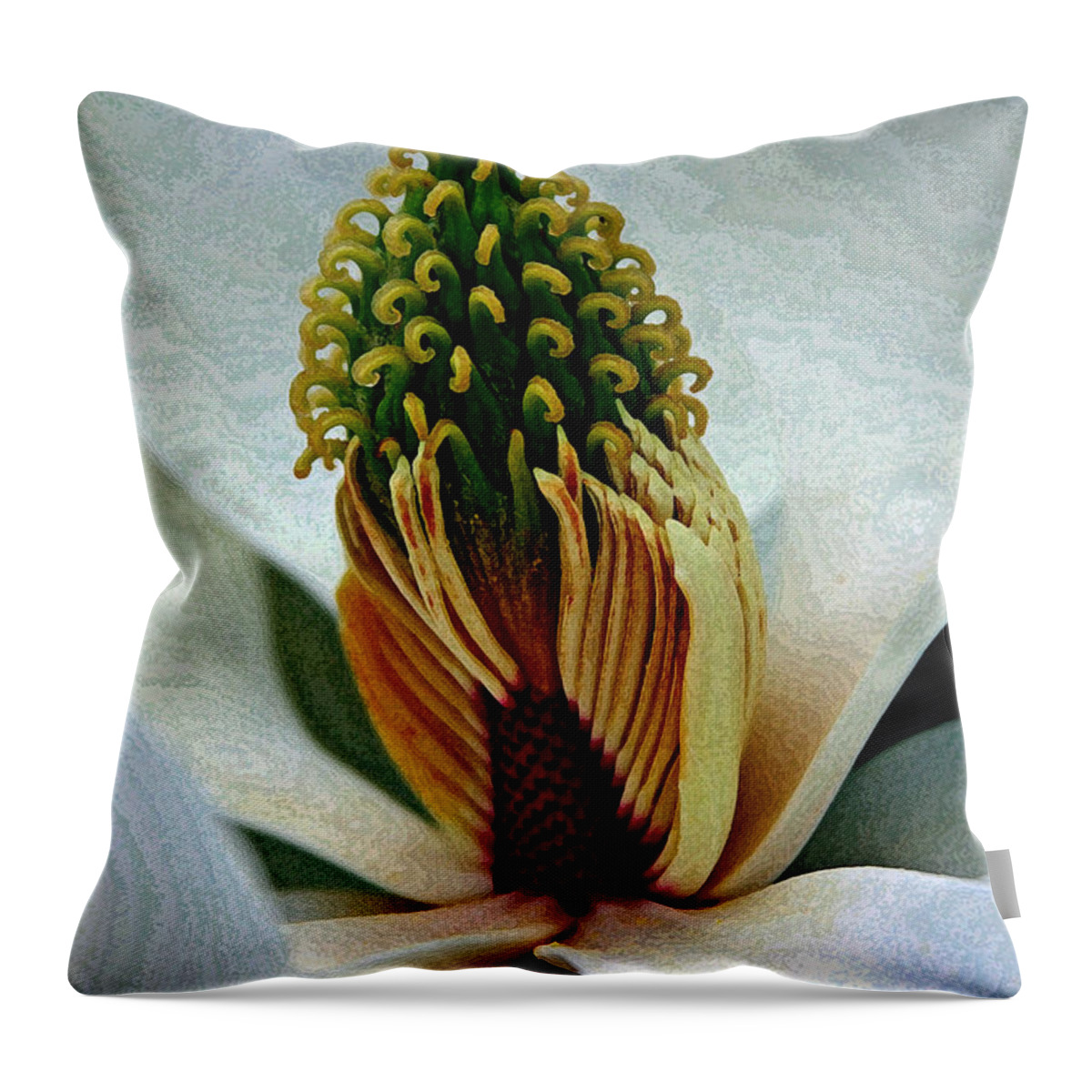 White Throw Pillow featuring the digital art Into the heart of the magnolia drybrush by Andy Lawless