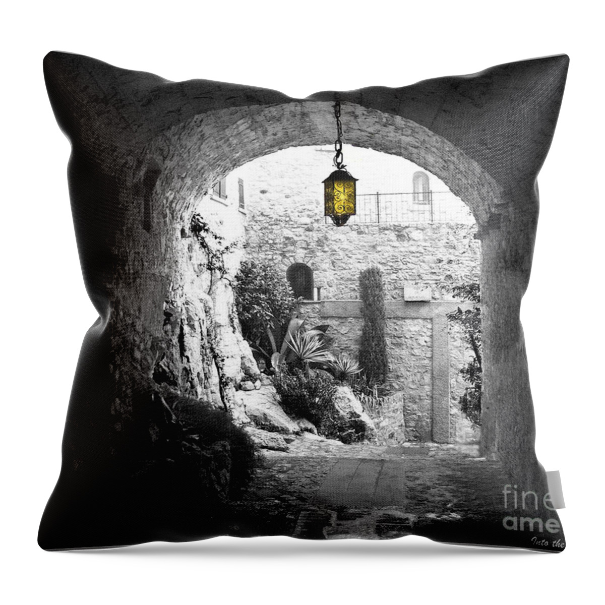 Into The Light Throw Pillow featuring the photograph Into The Light 2 by Victoria Harrington