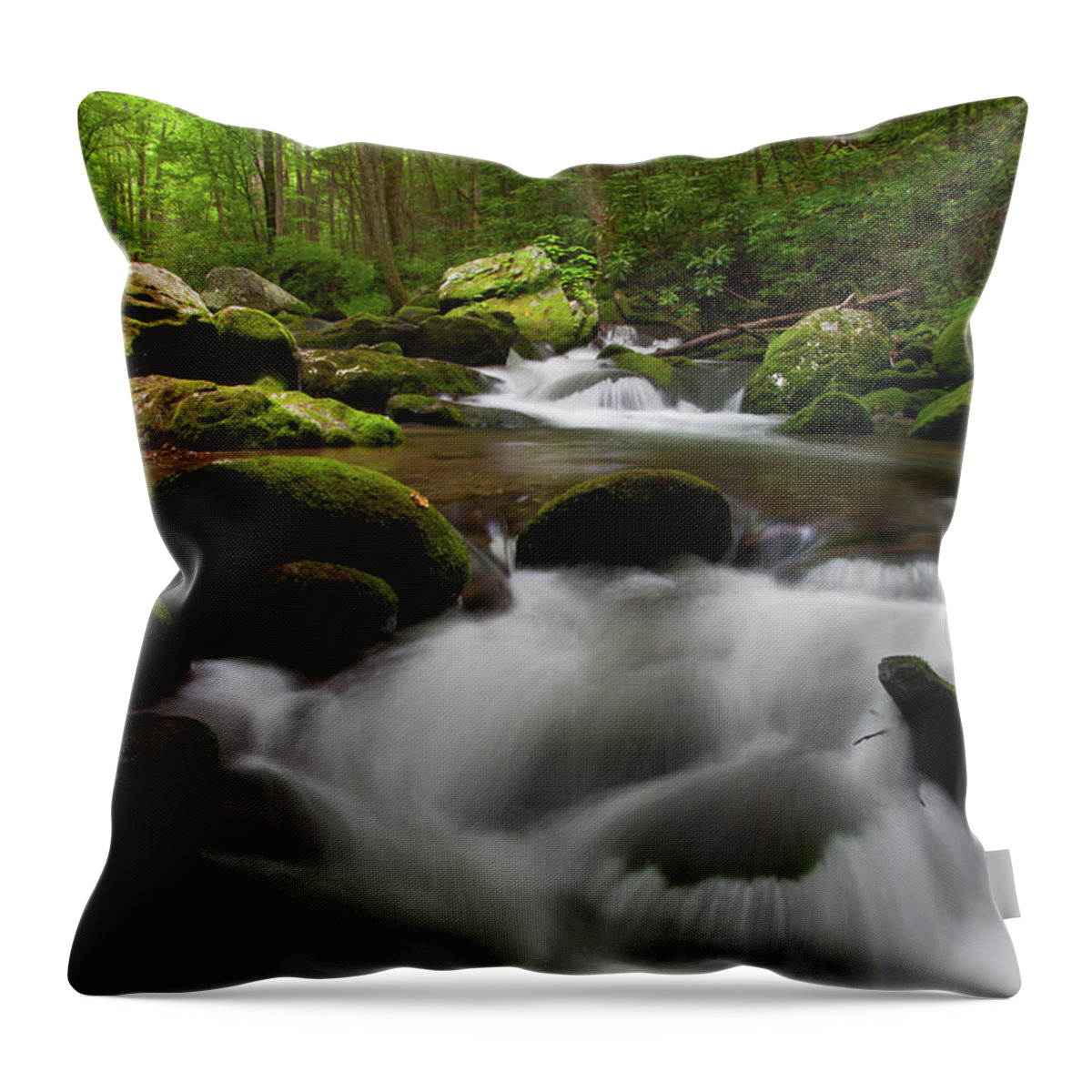 Southern Usa Throw Pillow featuring the photograph Into The Light by W. Drew Senter, Longleaf Photography