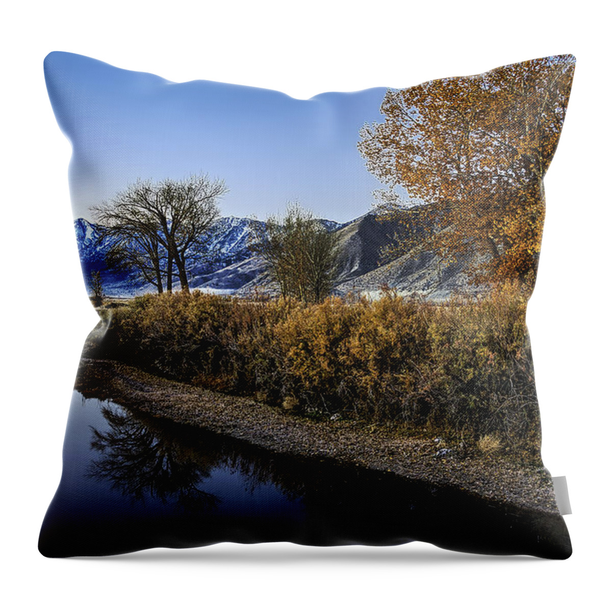 Blue Throw Pillow featuring the photograph Forebearance by Maria Coulson