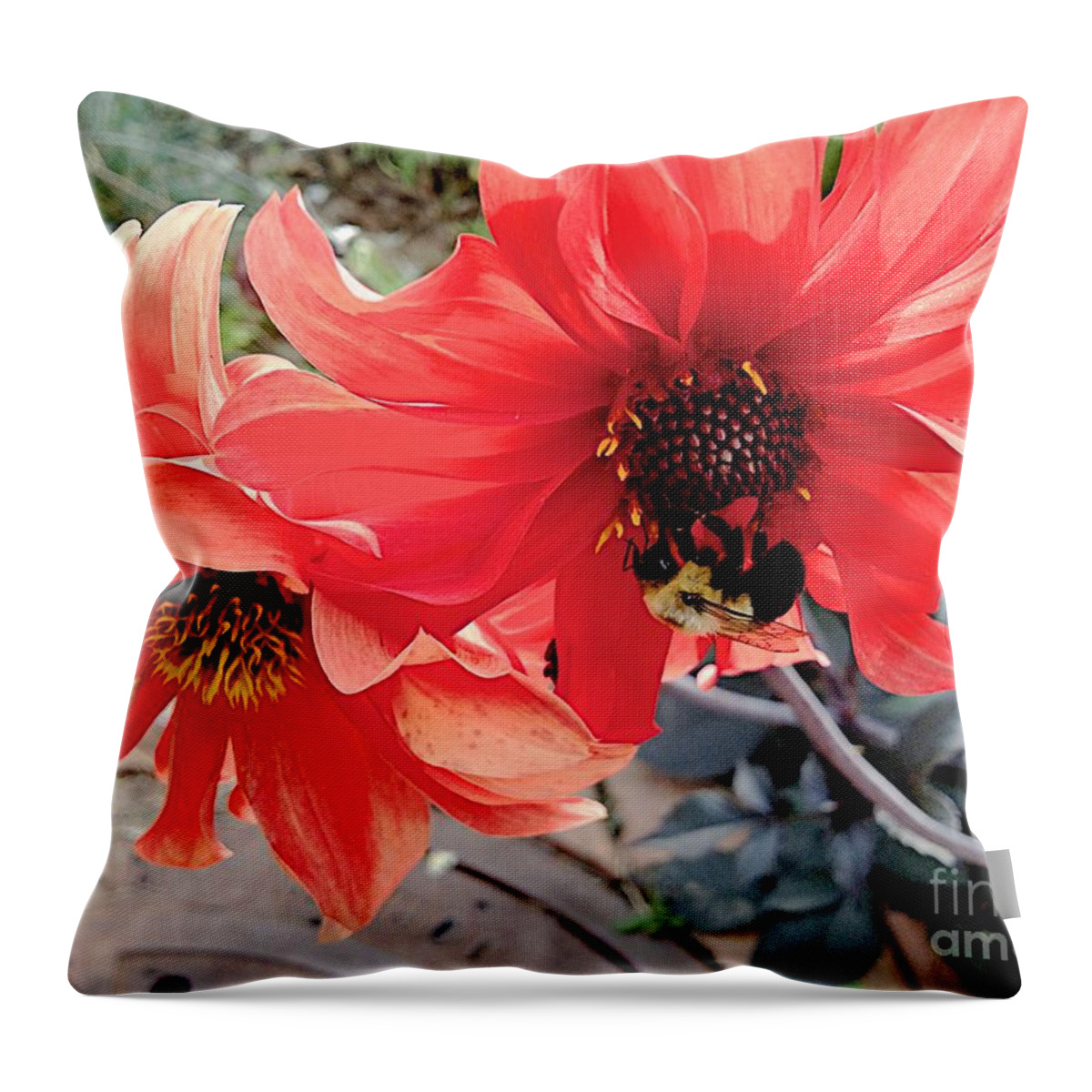 Bumble Bee Throw Pillow featuring the photograph Introvert by Joseph Yarbrough