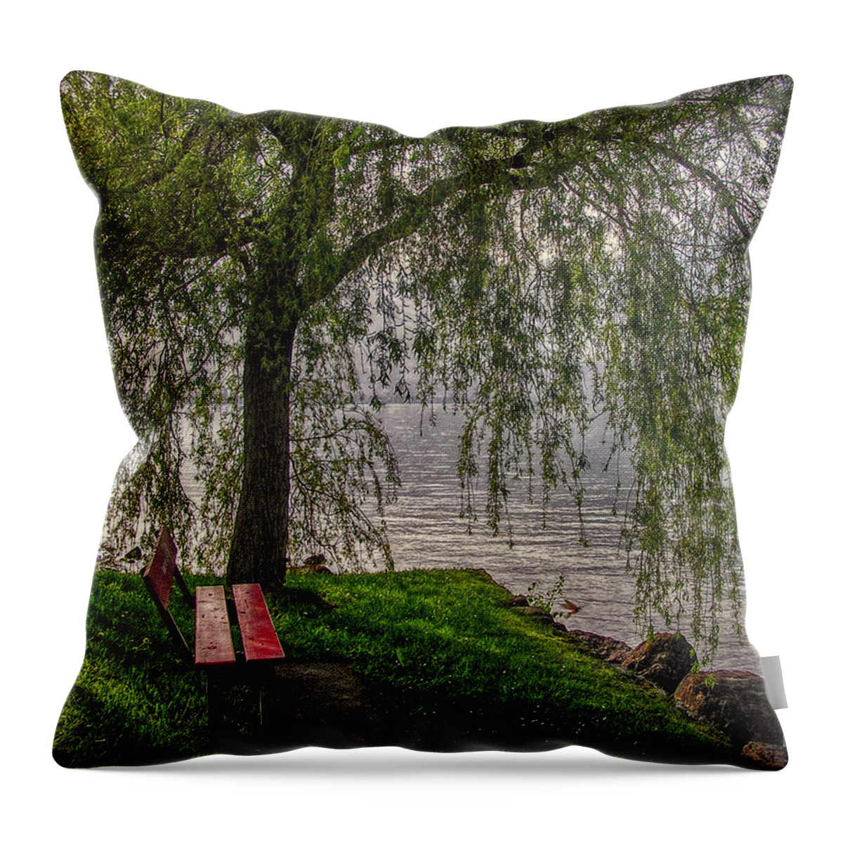Switzerland Throw Pillow featuring the photograph Invitation to Rest by Hanny Heim